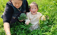 蛇王我要吃了你